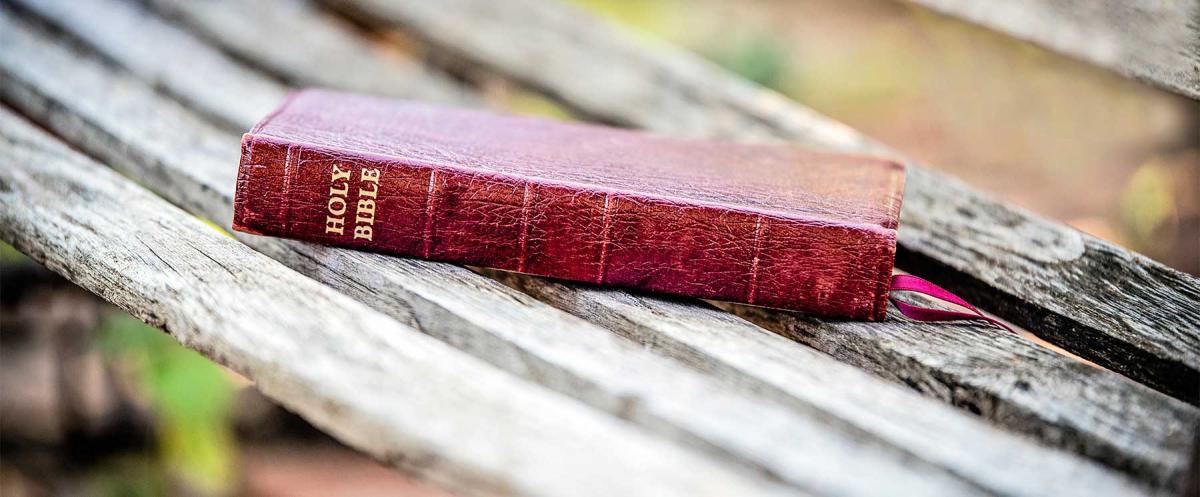 The Holy Bible on a. park bench in fall